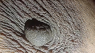 Indian lokal deshi bhabhi fuking bifor bed rest and body imprsh