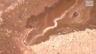 204-wguuhy-ouhsgy-poo-sfs