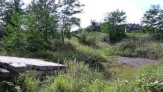 Amateur blonde slut outdoor banging following picnic