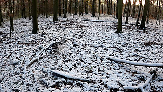 Throwing Snow Balls on Her Naked Tits in the Woods