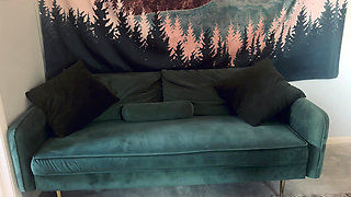 Restaurant Feet to Bed