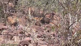 Rough Outdoor Sex with African Housewife - Blacked by Tourist