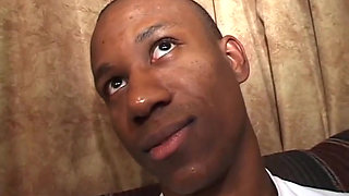 Black on black... pussy fucking big black cock sucking