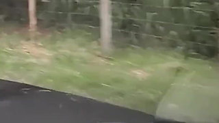 Risky Masturbation in the Car with a Hot Girl at the Bus Stop in Public!