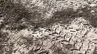 Fucked and Filled up Random Sexy Blonde at the Beach