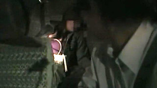 The Woman Dragged Into Car Sex