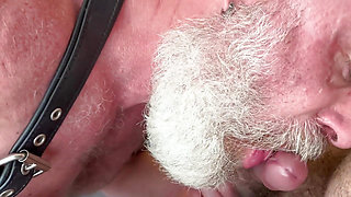 Daddy & Cub Hot Breeding