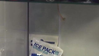 Extreme Anal Fisting Clinic Ft Italian Latex Mistress Ludovica Maz Maz Morbid