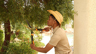 Busty blonde milf craves young black cock in rough fuck