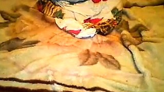 Hot Romanian-Italian Webcam Girl