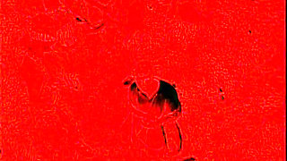 Crazy reverse gangbang for two boys taken by a group of unleashed wild whores!