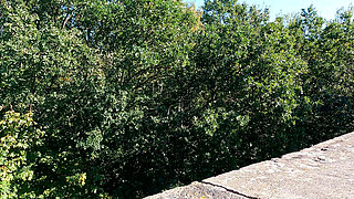 Spanking Her Naked Tits in Medieval Castle