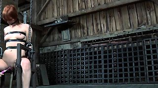 blowjob and retro hardcore intercourse