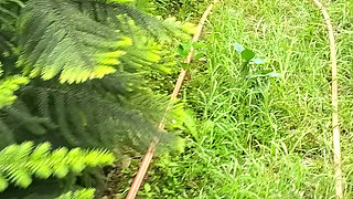 Husband Wife Full Deshi Sexy Videos