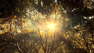 Small titted Asian deep nub and ass fuck