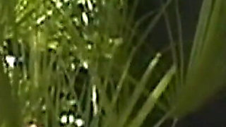 Dita Payne & Jesse Strip Suck Facial