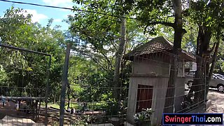 Monkey business and couple intercourse at home