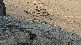 A Stranger Touched My Body on the Beach.