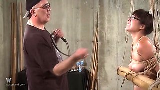 The Bamboo Prison - Nyssa Nevers