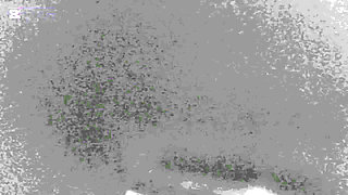 Down South Beach Sex Worker