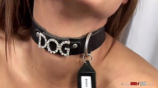 Hot milk is in Bloom [Part 2]