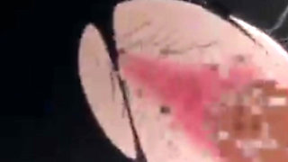 GulaGula3XXX Movie Scene-2