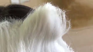 Today I'm a Naughty Kitten Who Wants Milk