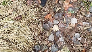 Found a slam hole in the forest.