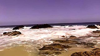 Sexy Blonde Blowjob Whore Rides Cock Hardcore