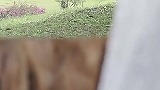 My First Public Video, Masturbate in My White Satin Dress