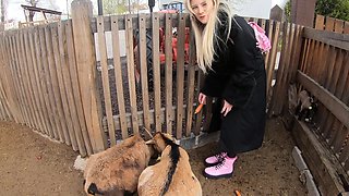 Two guys shared the sexy Melody Marks' pussy in an intense threesome