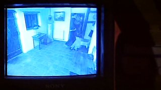 Big Titty Brunette Babes in Hardcore Anal Fun