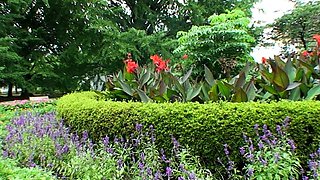 Teen Cute Italian Brunette Solo At