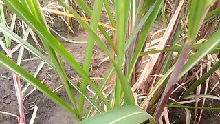 Mom step son fuck in village oudoor