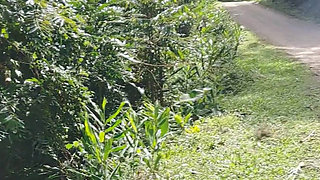 Innocent Girls in the Nature and a Great View for the Guys Going Around