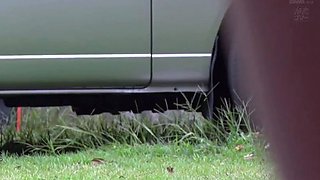 Hairy cute teen saffron solo toying
