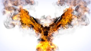 ASIANTGIRL   Shene Being Shene