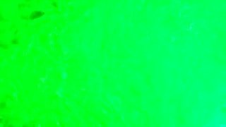 Solo girls masturbate until orgasm for