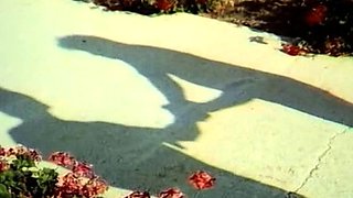 The Hot Brazilian Beach Brings Hot Blondes for Hardcore Sex