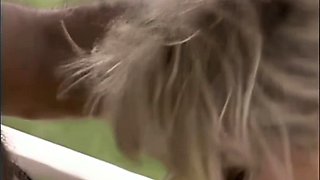 Picked up babes outdoor hardcore fuck for cash in cool POV
