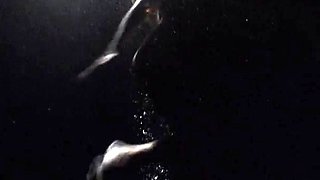 Blonde With Natural Big Boobs Loves Putting A Toy In Her