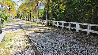 Mostrando a calcinha de renda
