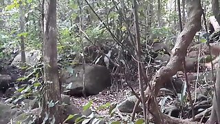 COUGAR makes a meeting with her paramour in the forest.