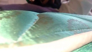 Horny Asian Student Masturbates After School